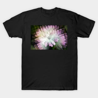 Spanish Daisy T-Shirt